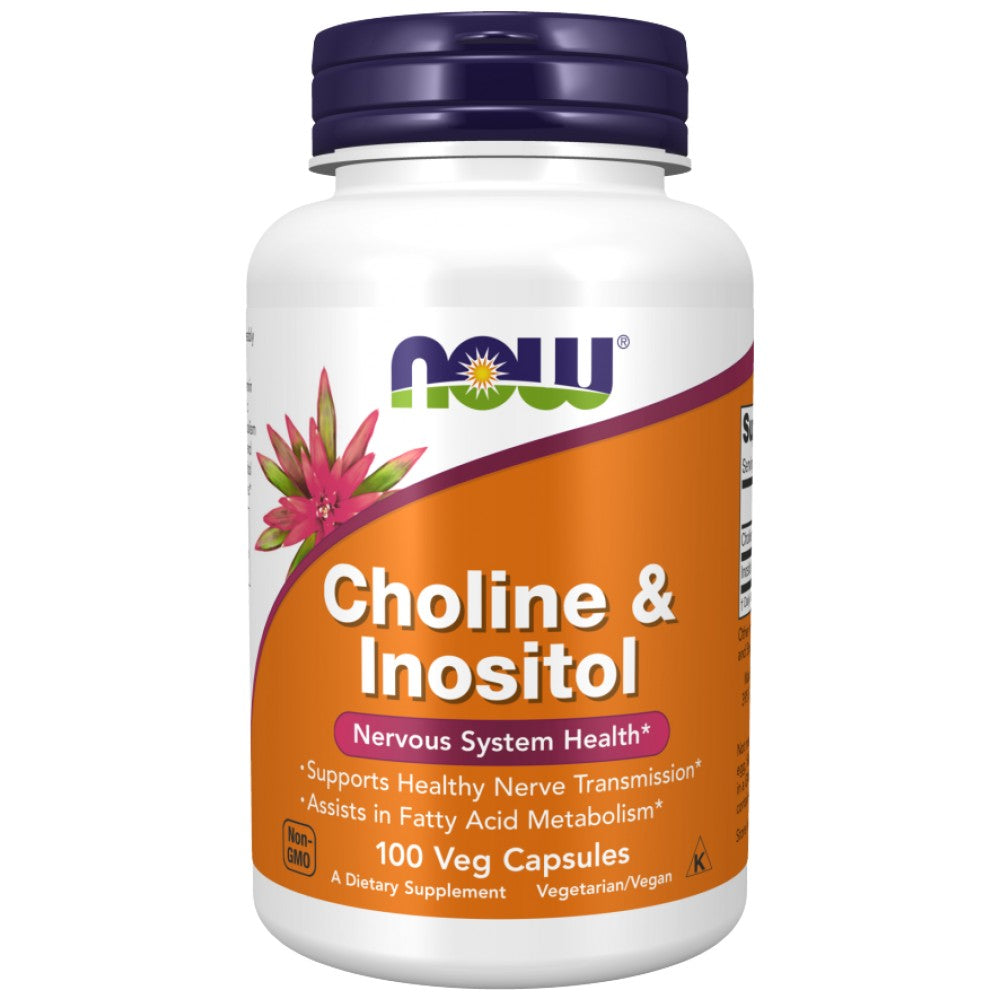 Choline & Inositol 500 mg - 100 κάψουλες