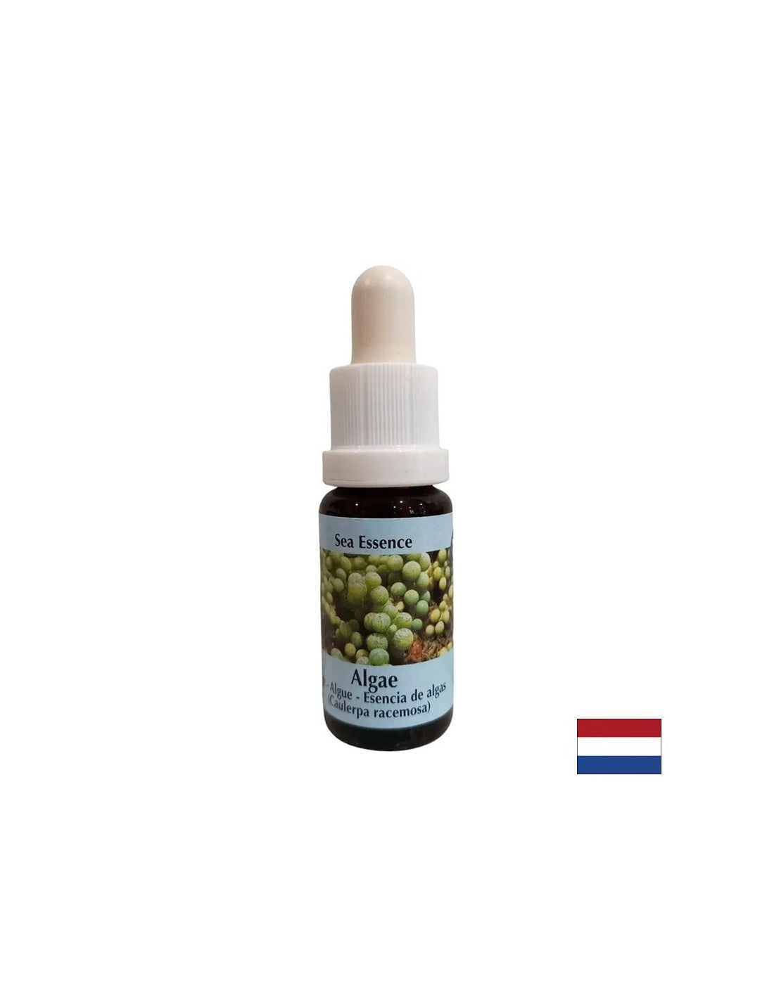Διεγείρει την αυτοθεραπεία - Algae Essence No. 1, σταγόνες 15 ml