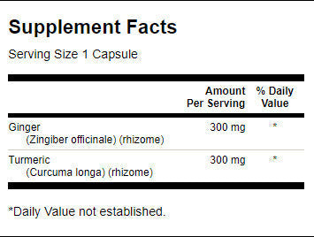 Full Spectrum Ginger & Turmeric - 60 capsules - Nutra Best Europe