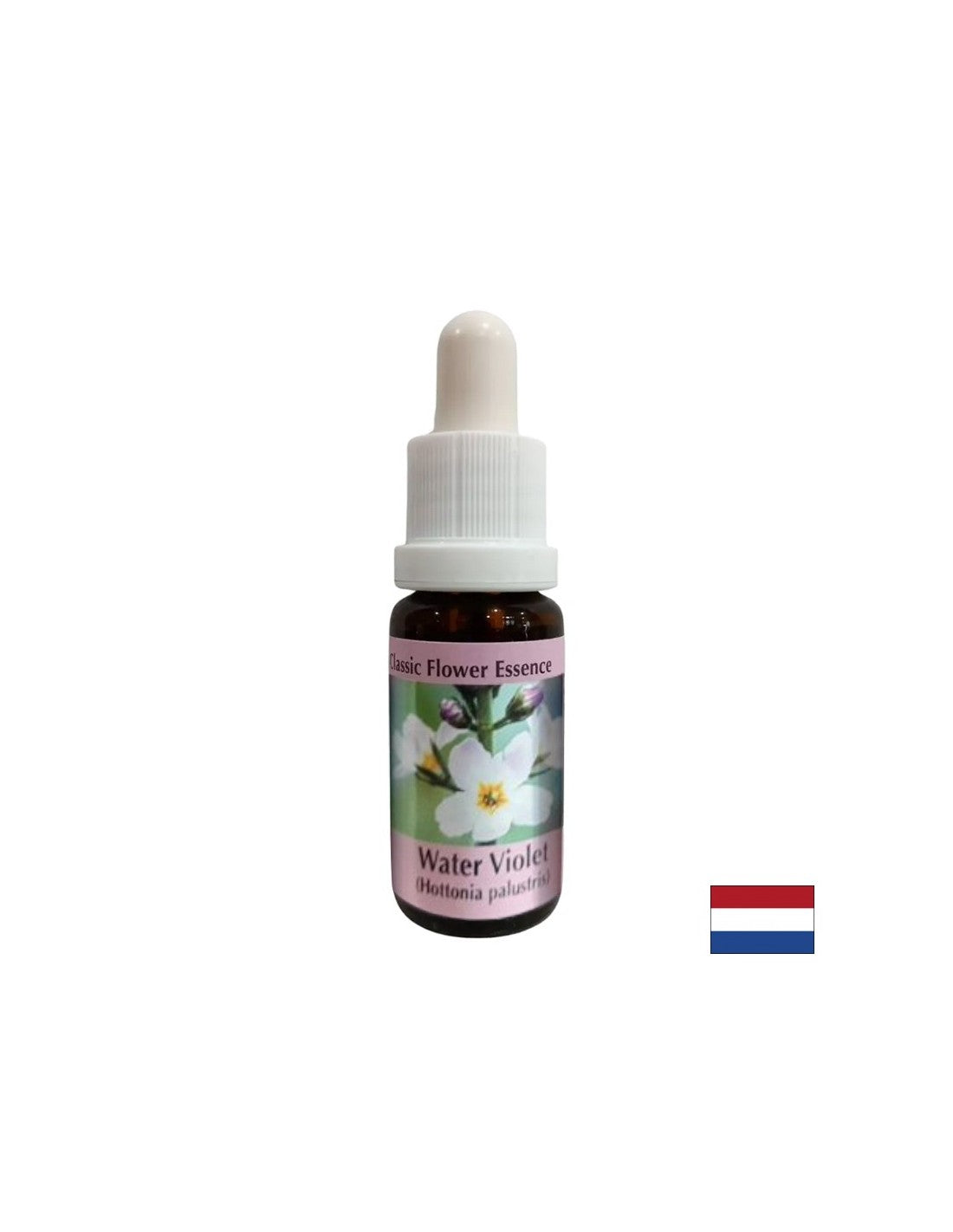 Προωθεί την επικοινωνία - Swamp Iris Essence, σταγόνες 15 ml