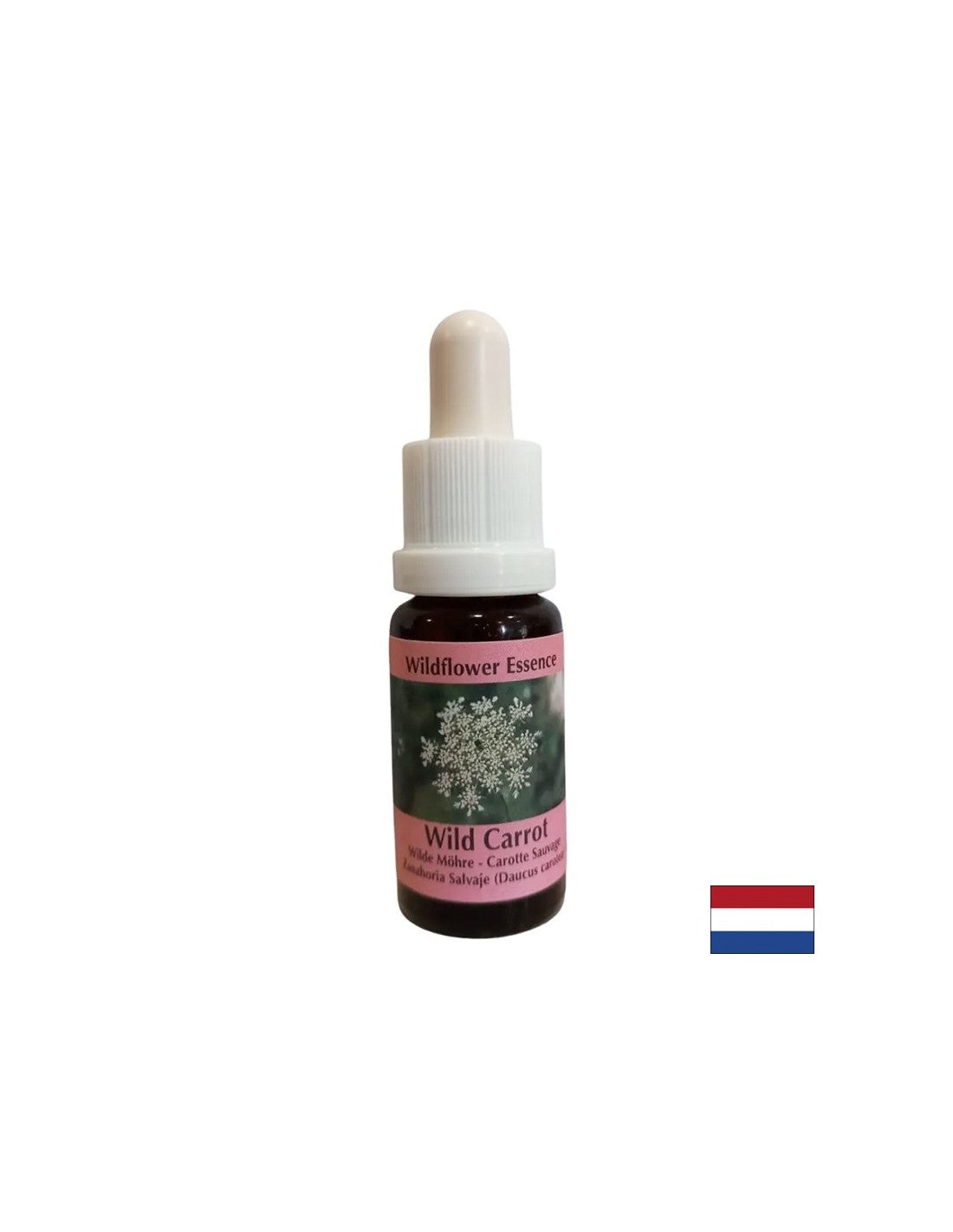 Ηρεμεί το μυαλό - Wild Carrot Essence, σταγόνες 15 ml