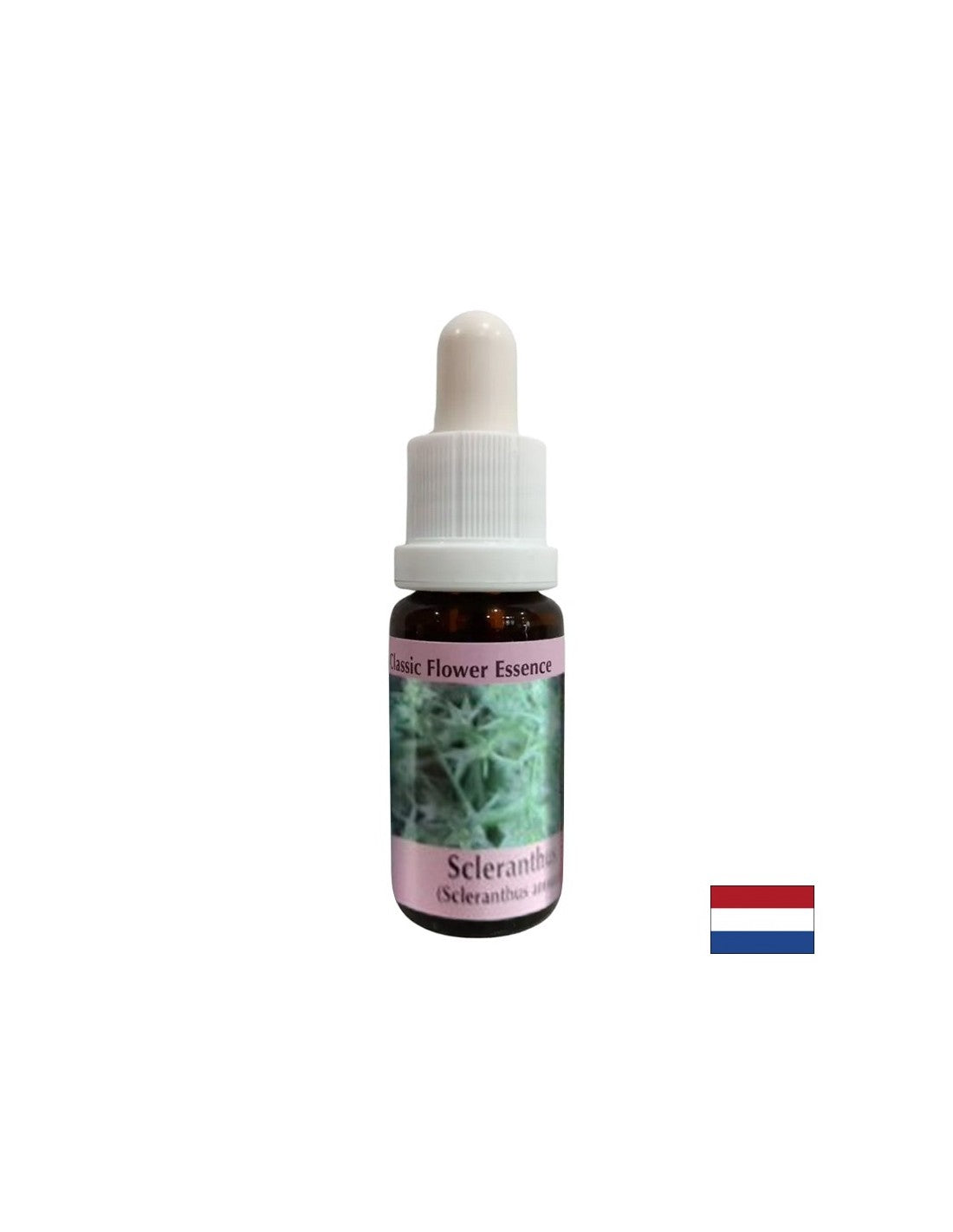 Για εσωτερική ισορροπία - Cartilage Essence Νο 28, σταγόνες 15 ml