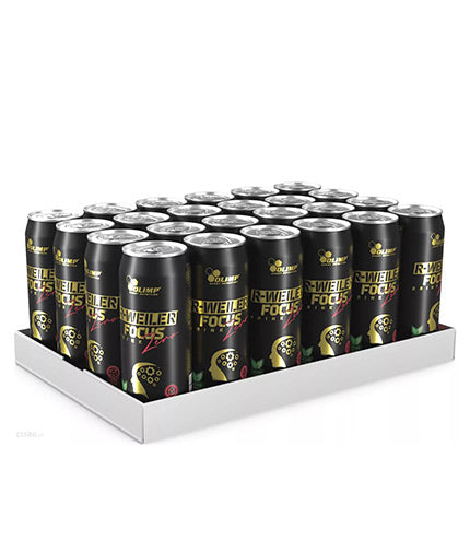 R-Weiler Focus Drink Zero/24 x 330 ml