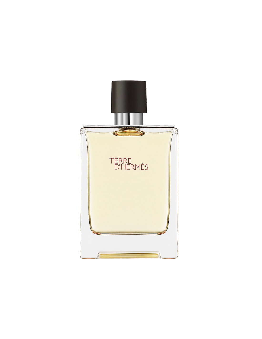 Hermes Terre d'Ermes Eau de Toilette Spray 100ml