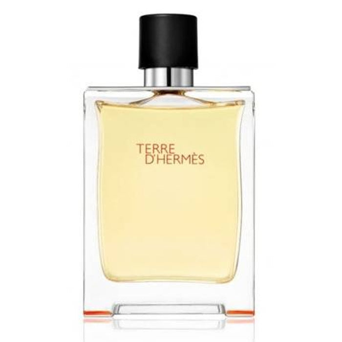 Terre d'ermes eau de toilette σπρέι 50ml