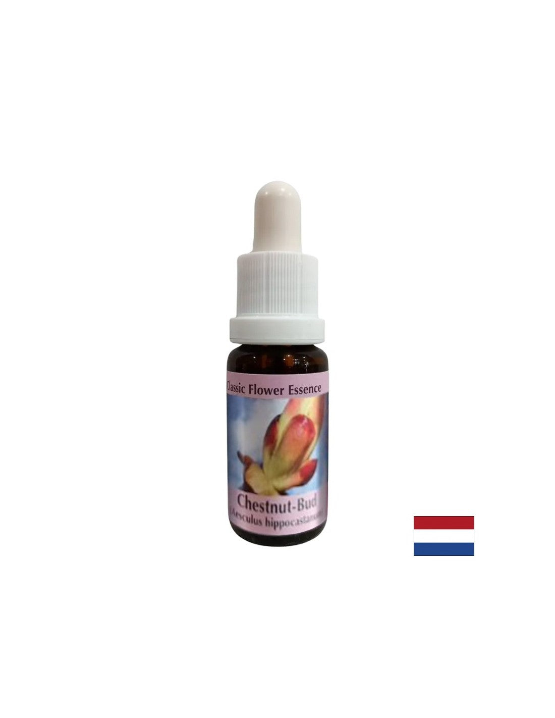 Αφαιρεί ενεργειακά μπλοκαρίσματα - Chestnut Bud Essence No. 7, σταγόνες 15 ml