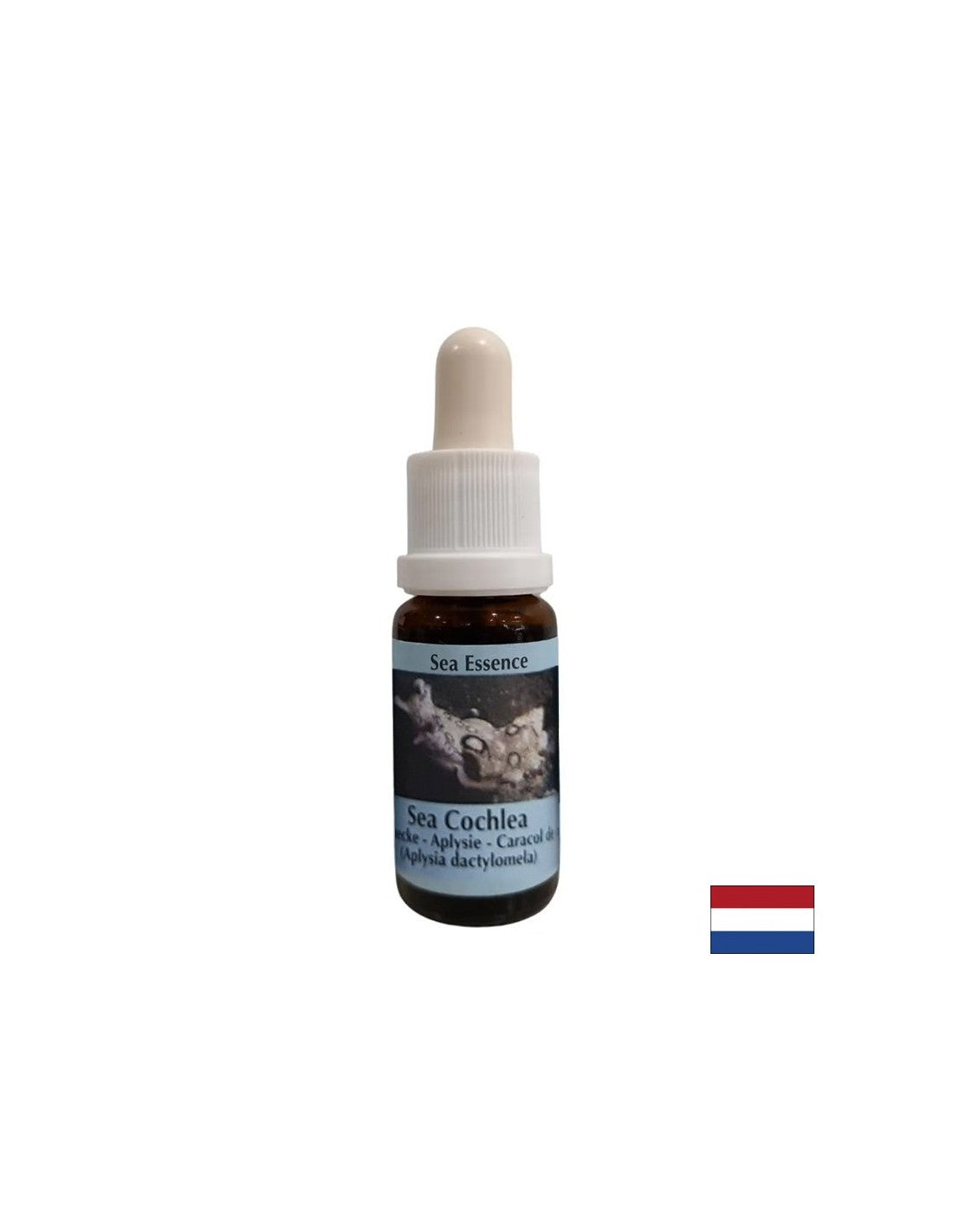 Δίνει εσωτερική δύναμη σε ασταθείς καταστάσεις - Sea Snail Essence No. 8, σταγόνες 15 ml