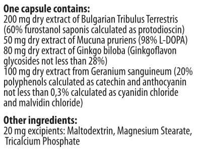 Ικανές αρσενικές κάψουλες 90