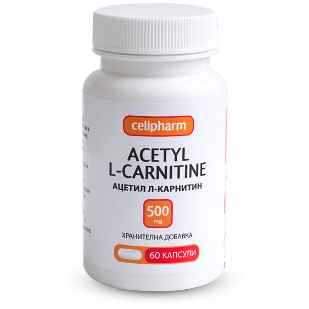 Acetyl L-Carnitine 500 mg 60 κάψουλες