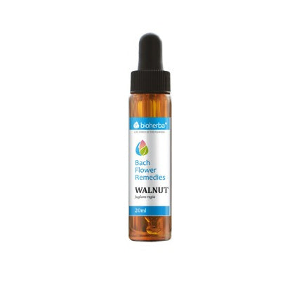 Bach Drops ΚΑΡΥΔΙ 20 ml