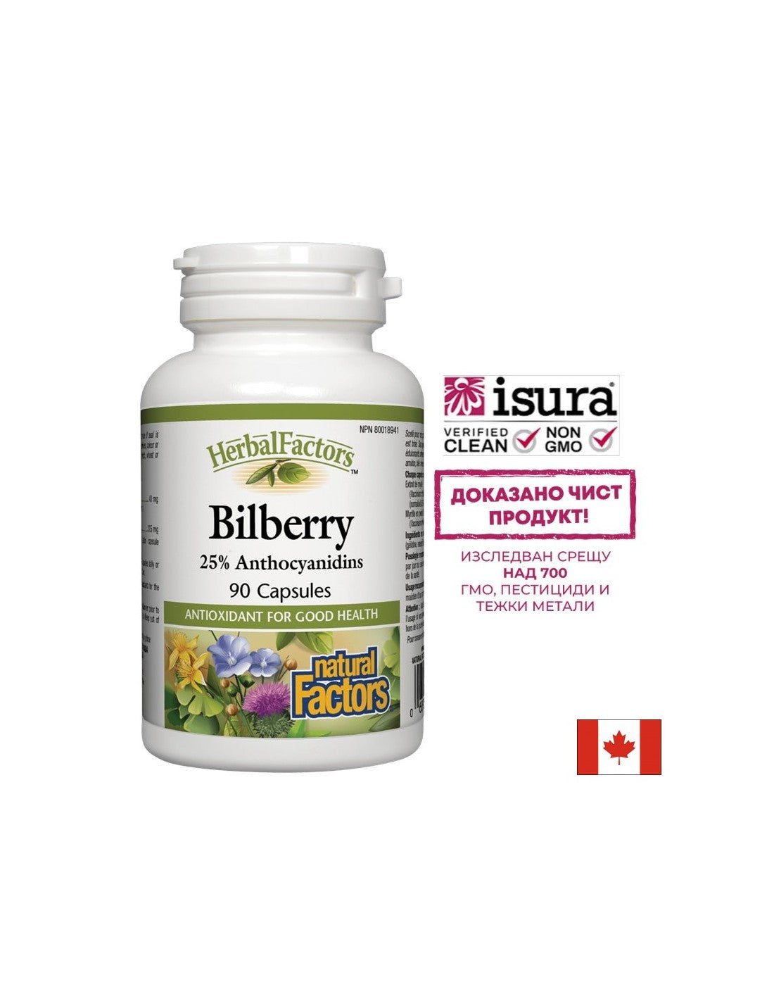 Billberry 345 mg - 90 κάψουλες