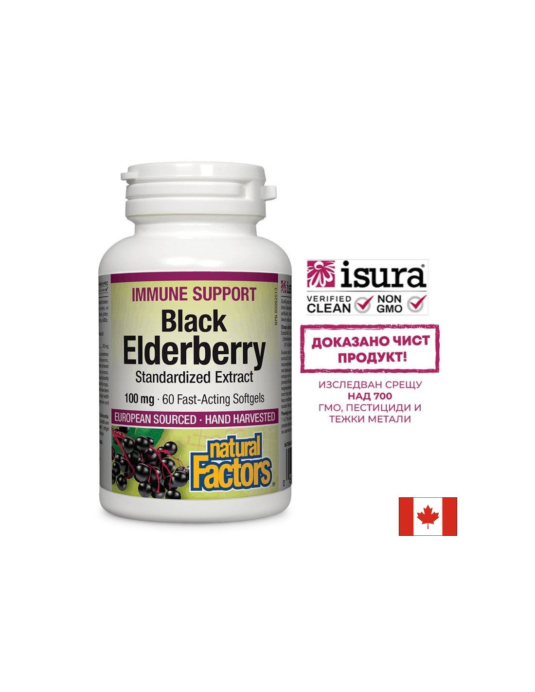Black Elderberry τυποποιημένο εκχύλισμα 100 mg - 60 κάψουλες πηκτής