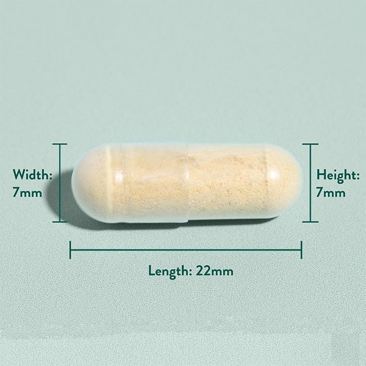 Milk Thistle Extract (Milk Thistle) 30 κάψουλες Holland & Barrett
