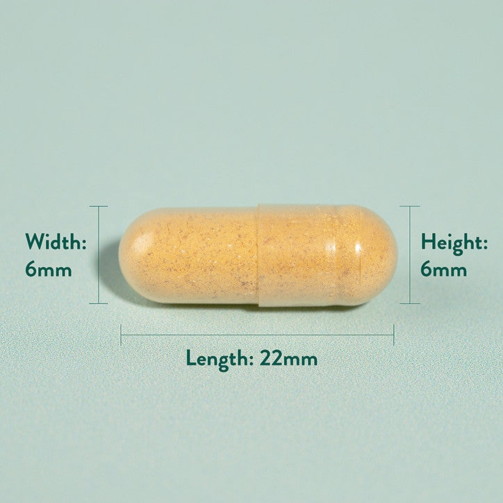 Turmeric 500mg 240 κάψουλες Holland & Barrett