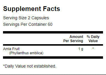 Πλήρες φάσμα AMLA Fruit 500 mg - 120 κάψουλες