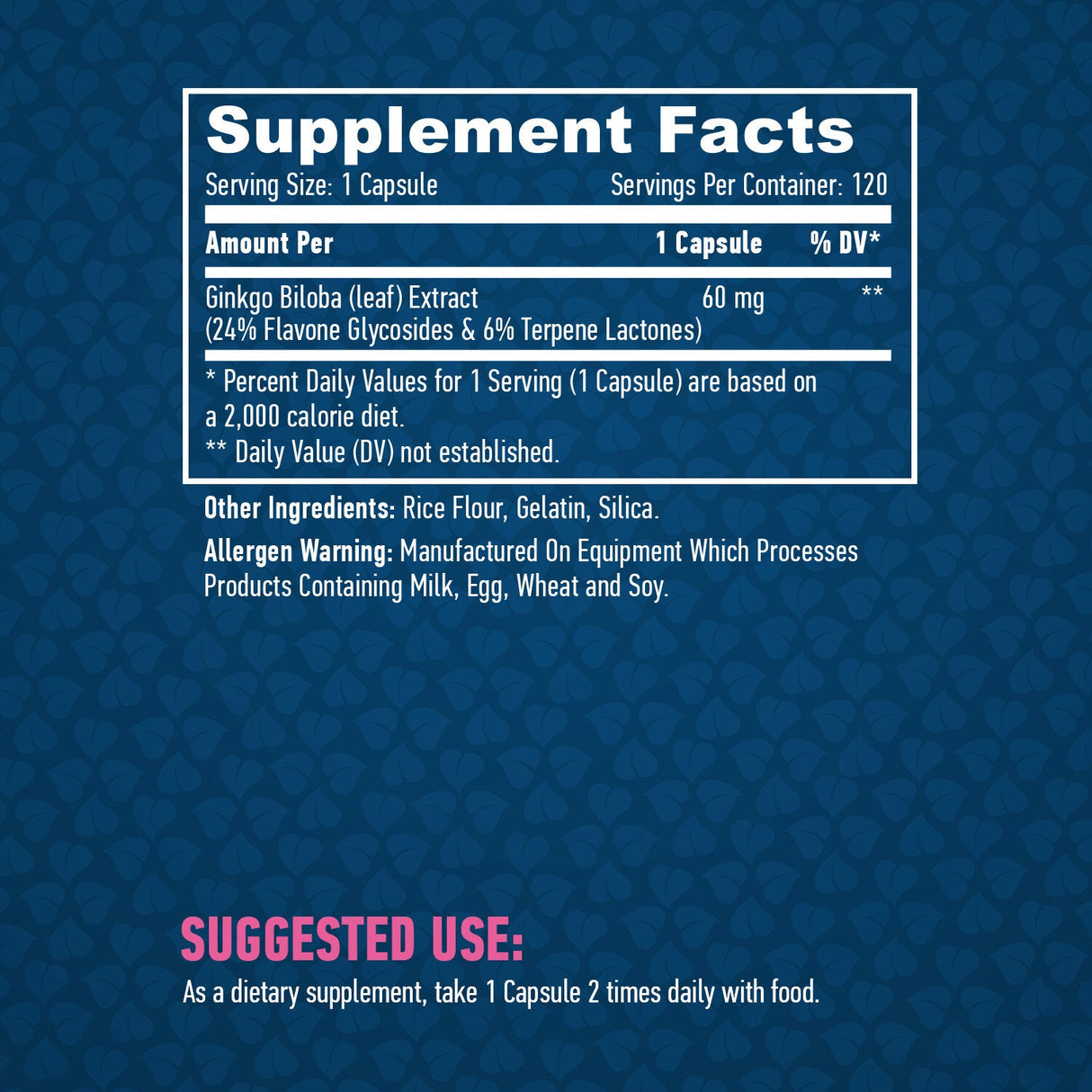 Ginkgo Biloba 60mg./120 καπάκια.
