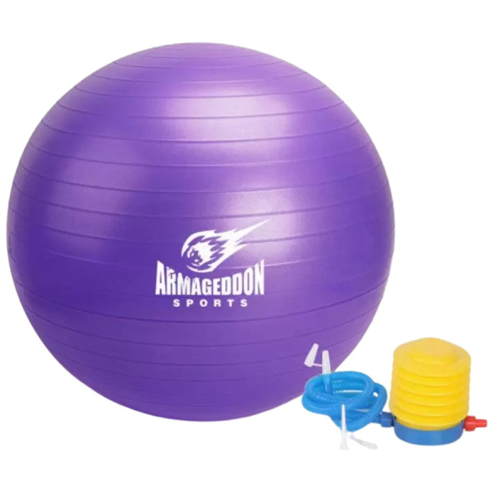 Gymnastic Ball With a Pump 85 cm/Gymnastic Ball with a Pump 85 cm