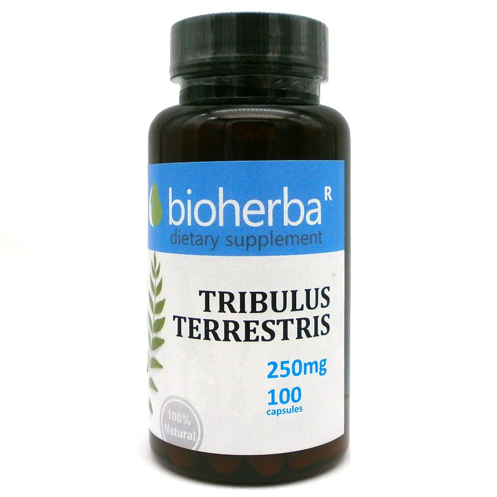 Tribulus terrestris 250 mg - 100 κάψουλες