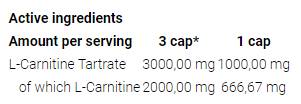 L -Carnitine 3000 καπάκια - 120 κάψουλες
