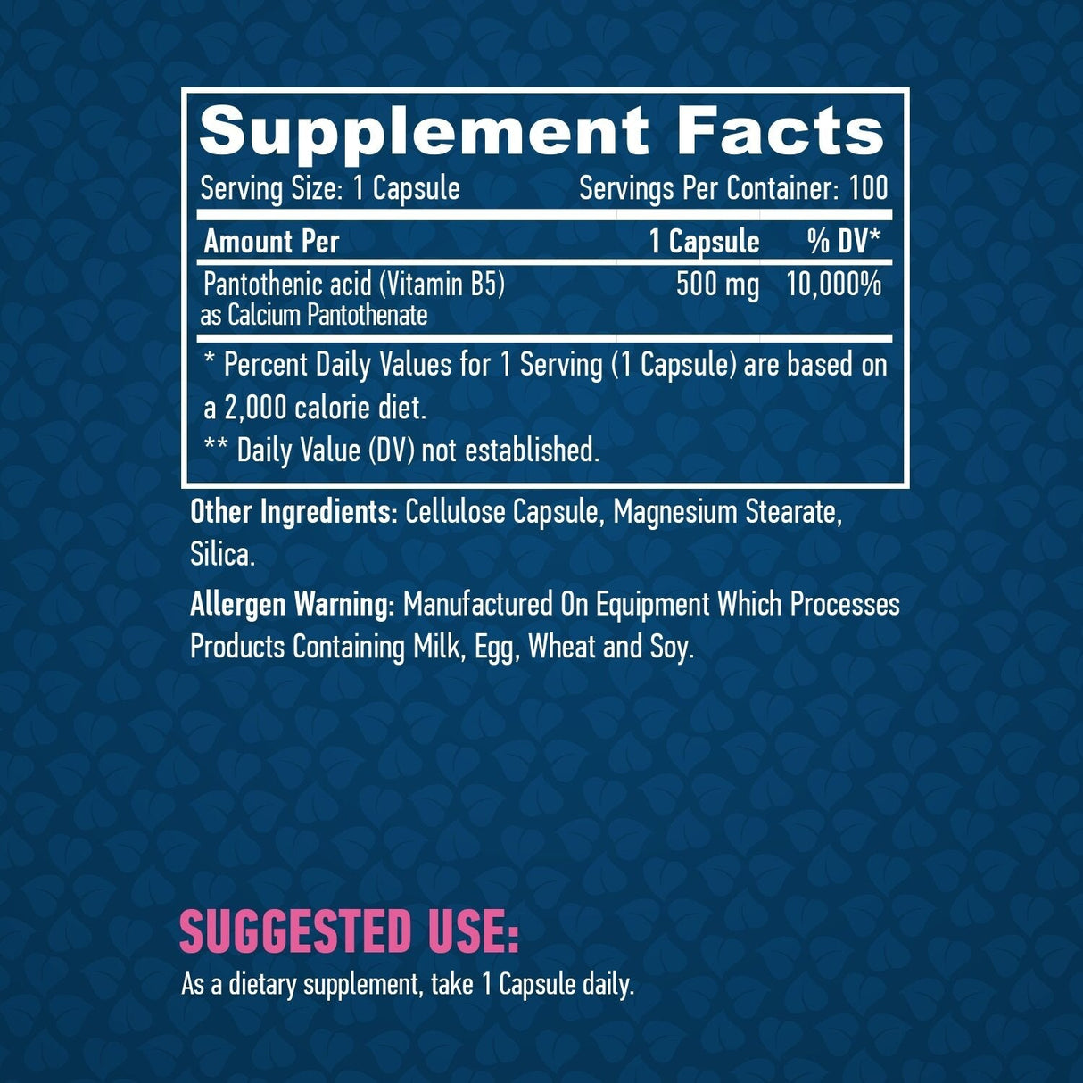 Παντοθενικό οξύ 500 mg/100 VCAP