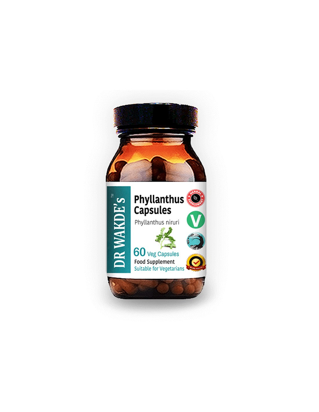 Phyllanthus - για ασθένειες του ήπατος και της σπλήνας, ουρική αρθρίτιδα, 60 κάψουλες