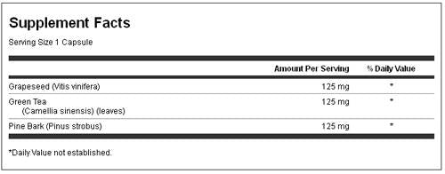 Mastic Gum 500 mg 60 κάψουλες