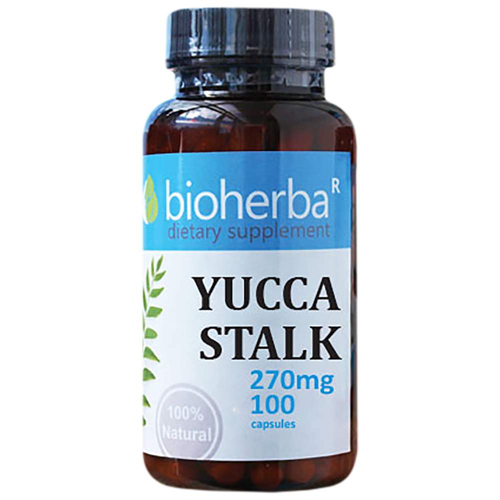 Μίσχος Yucca 270 mg - 100 κάψουλες