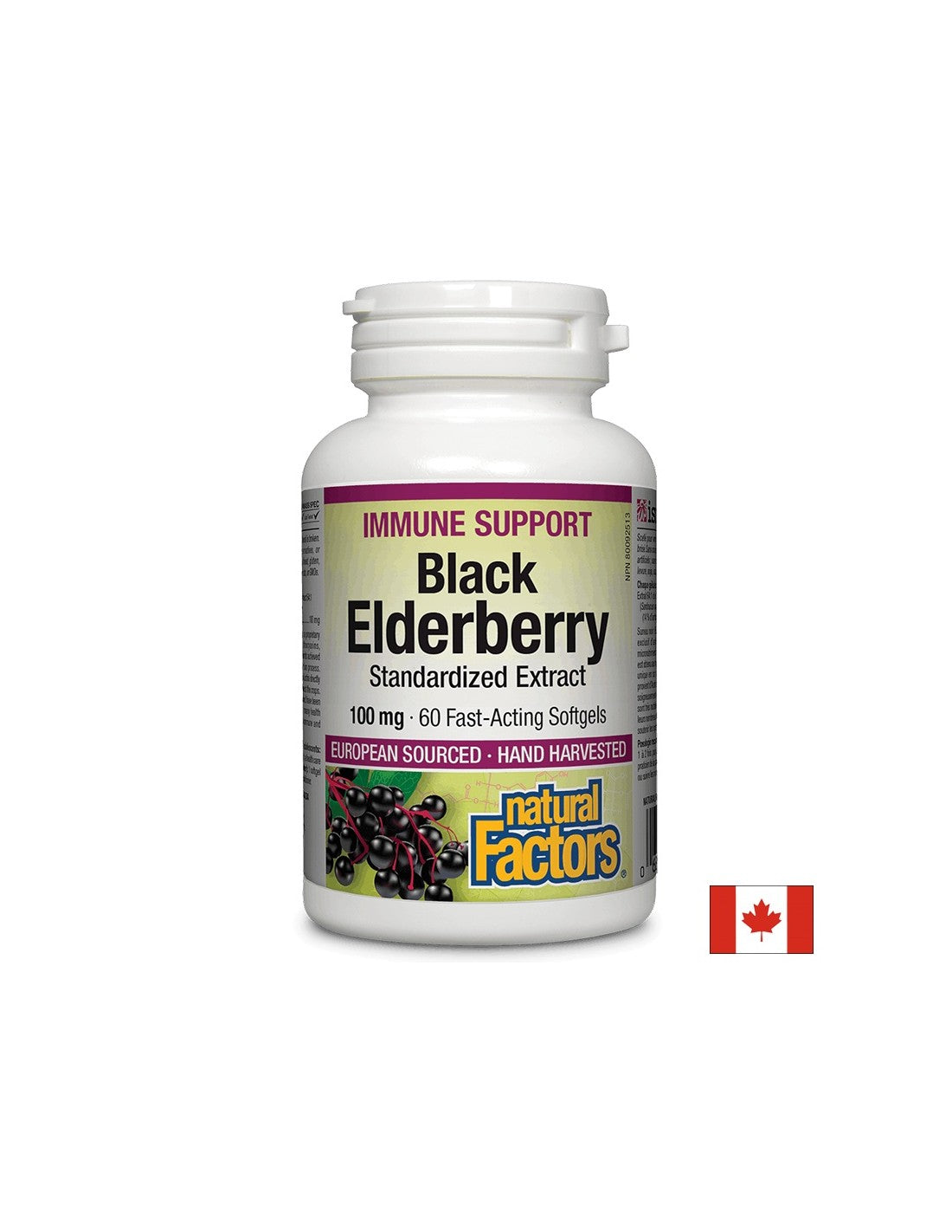 Black Elderberry τυποποιημένο εκχύλισμα 100 mg - 60 κάψουλες πηκτής