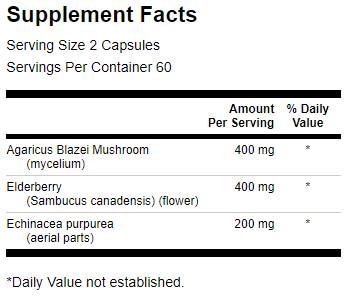 Elderberry/agaricus/echinacea 120 κάψουλες