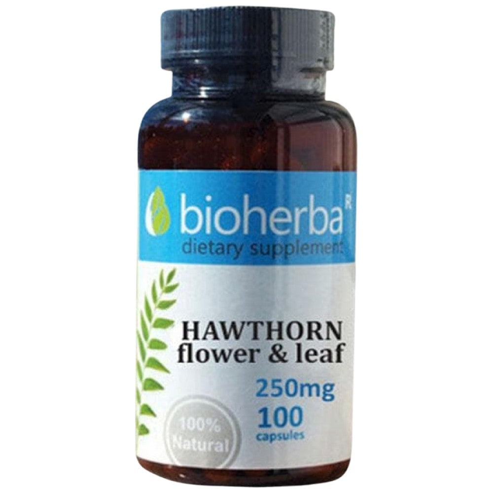 Hawthorn Flower & Leaf 250 mg - 100 κάψουλες