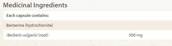 WellBetx Berberine 500 mg - 60 κάψουλες