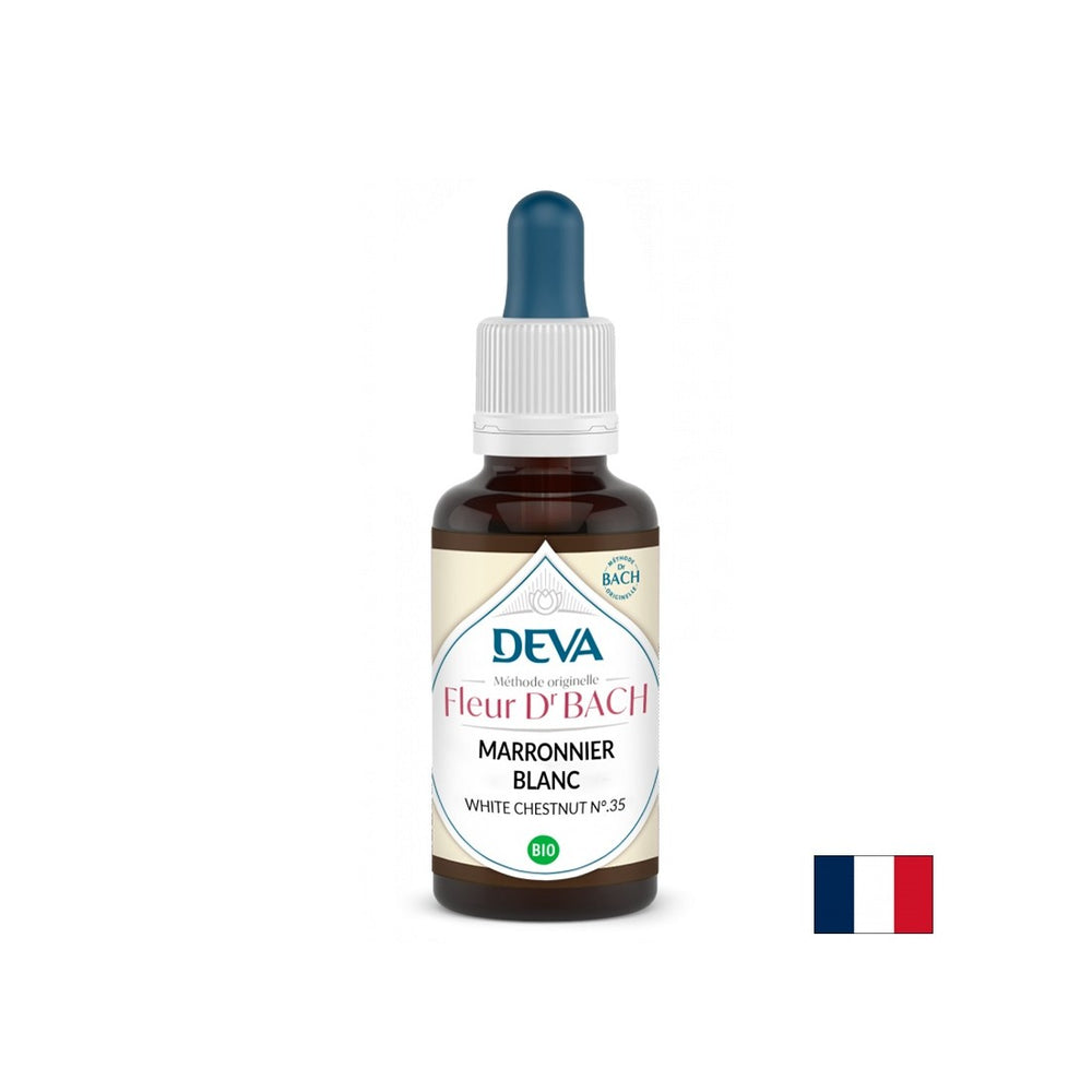 Μνήμη και συγκέντρωση - Κάστανο άλογο, Bach Drops No. 35, 15 ml