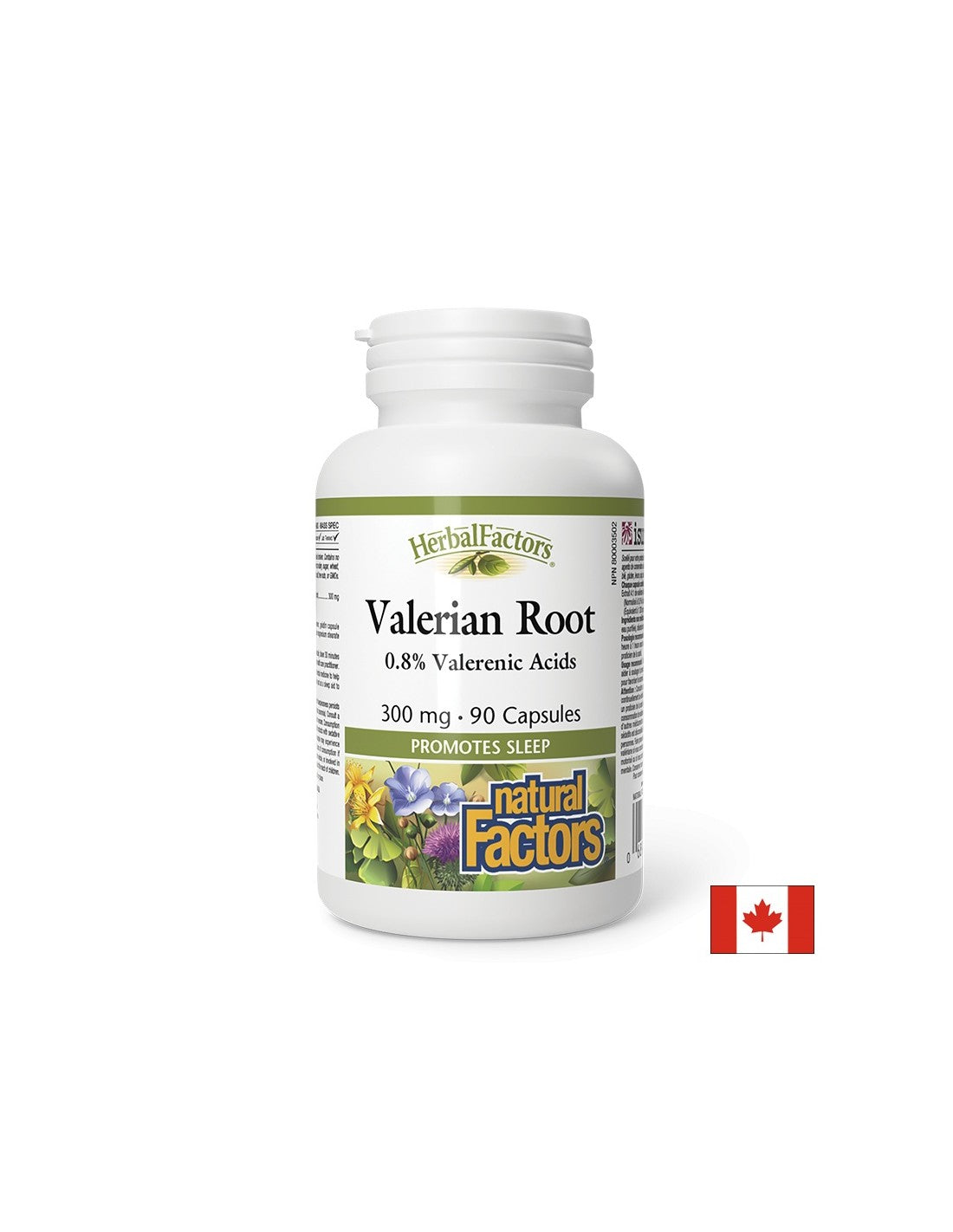 Valerian Root 300 mg - 90 κάψουλες