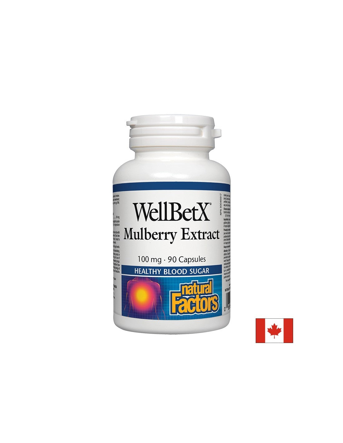 Εκχύλισμα Mulberry WellBetx 100 mg - 90 κάψουλες
