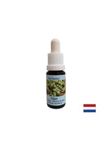 Διεγείρει την αυτοθεραπεία - Algae Essence No. 1, σταγόνες 15 ml