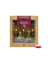 Λυοφιλοποιημένο τσάι South Garden Bio, 10 g <tc>Dary Natury</tc>