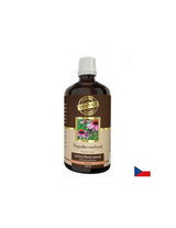 Ανοσία - Echinacea, 100 ml βάμμα