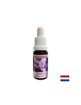 Χαρίζει αυτοπεποίθηση - Gentian Essence Νο 12, σταγόνες 15 ml