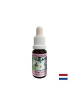 Προωθεί την επικοινωνία - Swamp Iris Essence, σταγόνες 15 ml