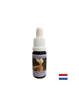 Για την αναγνώριση ζωτικών εργασιών - Orchid Essence Psyche No. 17, σταγόνες 15 ml