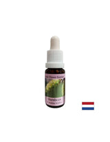Για περισσότερη ενέργεια και κίνητρο - Hornbeam Essence No. 17, σταγόνες 15 ml
