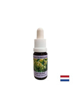 Balances the ego - Essence Sunny Orchid No. 18, σταγόνες 15 ml