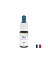 Για φόβο και αβεβαιότητα - Larch, Bach drops No. 19, 15 ml
