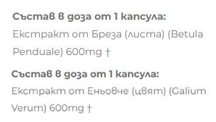 Εκχύλισμα σημύδας + Birch - 2 x 60 κάψουλες