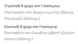 Εκχύλισμα σημύδας + Birch - 2 x 60 κάψουλες