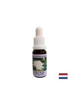 Για πνευματική επίγνωση - Victoria Regia Essence No. 20, σταγόνες 15 ml