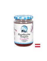 Ενισχύει την ανοσία - σφουγγάρι τσαγιού kombucha με τσάι με ζυμωμένο φρούτο, 200 ml