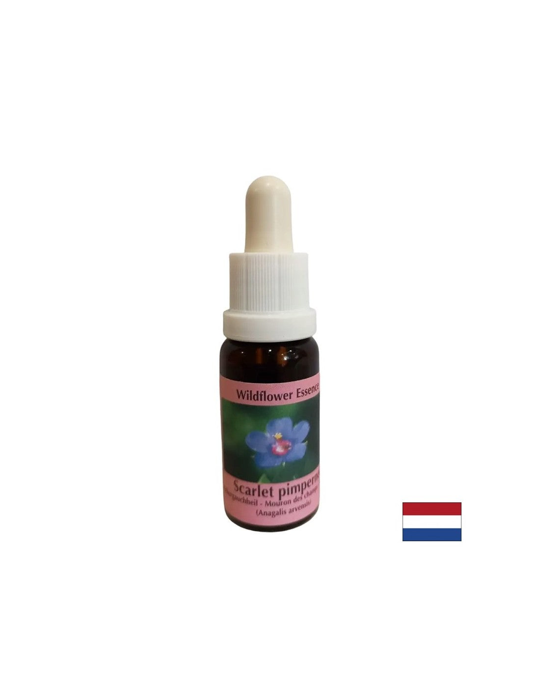 Για αυτο-ανακάλυψη και ενσωμάτωση - Essence Polish Fireweed No. 21, σταγόνες 15 ml