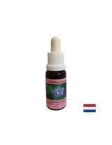 Για αυτο-ανακάλυψη και ενσωμάτωση - Essence Polish Fireweed No. 21, σταγόνες 15 ml