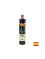 Violeta de agua (Water Violet) Elixir Floral 34 - Flower elixir of water violet, 10 ml Arte<tc>san</tc>μεταξύ